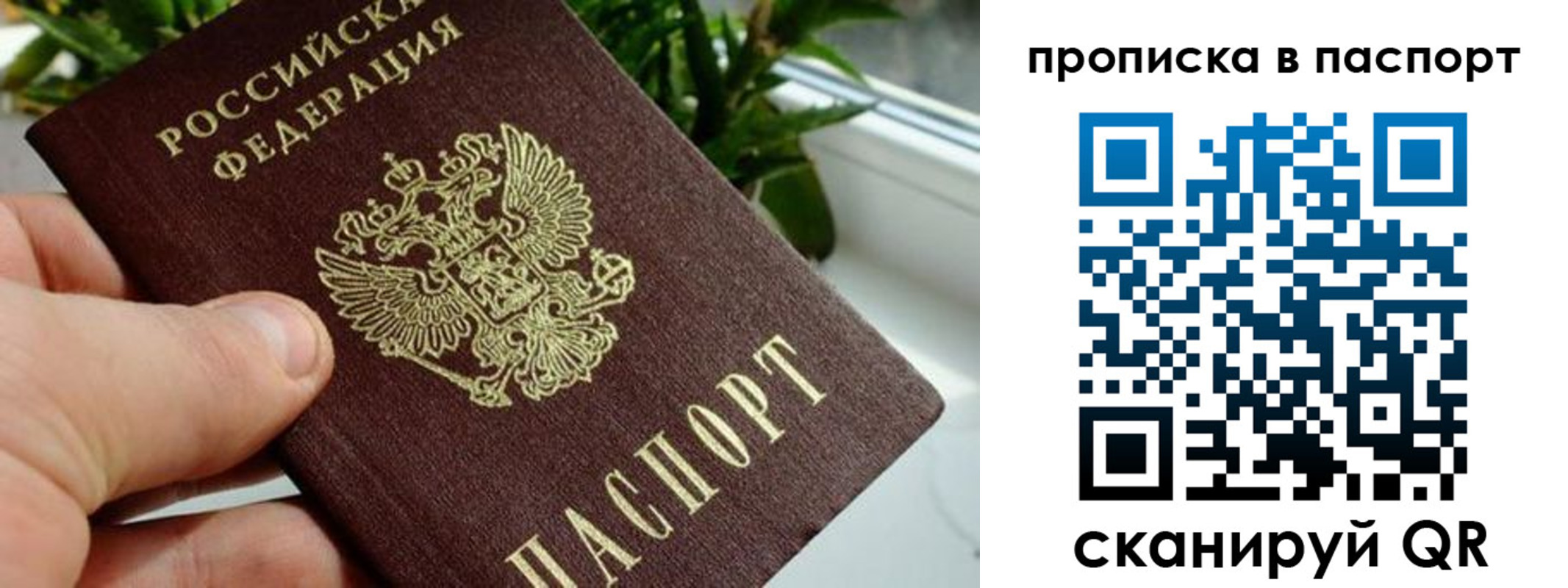 пропишу в квартире в Кашине